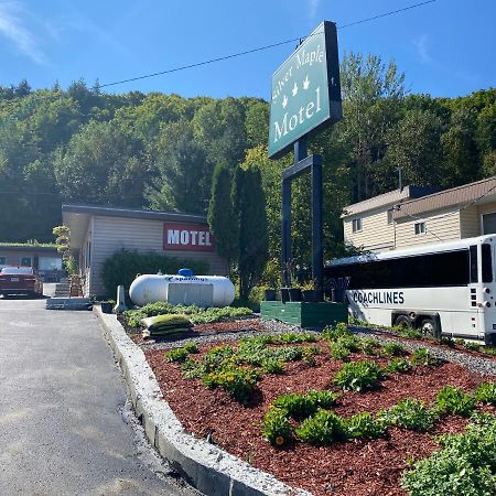 Silver Maple Motel Haliburton Kültér fotó